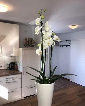 Appartement Apart Studio 21a
